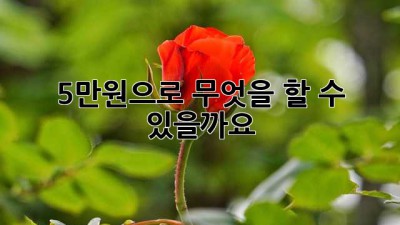 5만원으로 무엇을 할 수 있을까요? ✨