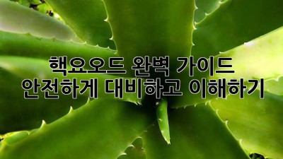 핵요오드 완벽 가이드: 안전하게 대비하고 이해하기